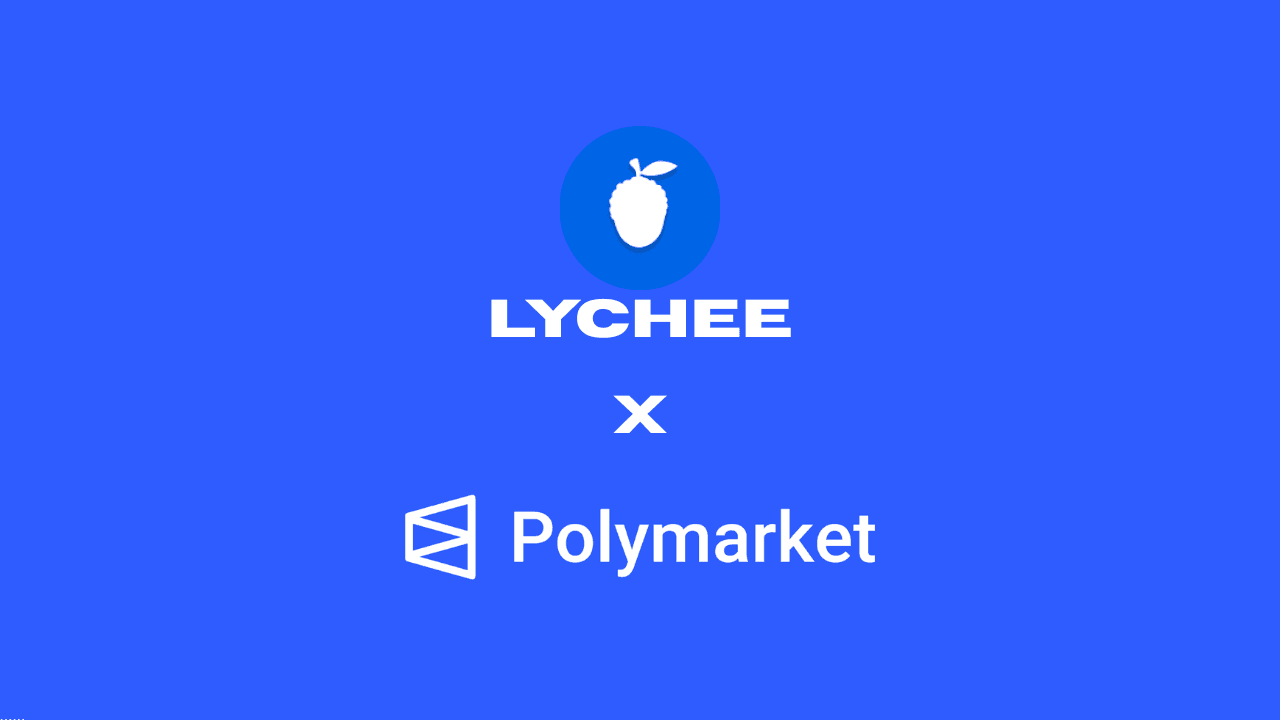 How to Pull and Analyze Polymarket Event Data (No-Code)